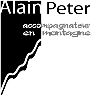 logo Alpe2000